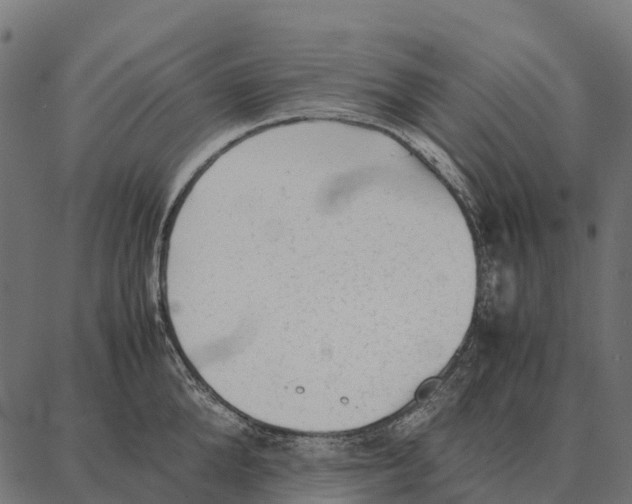 X0000087320904200705181008