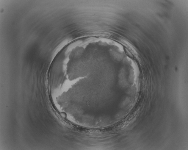 X0000087320907200705181008