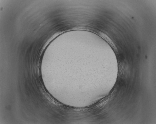 X0000087320908200705181008