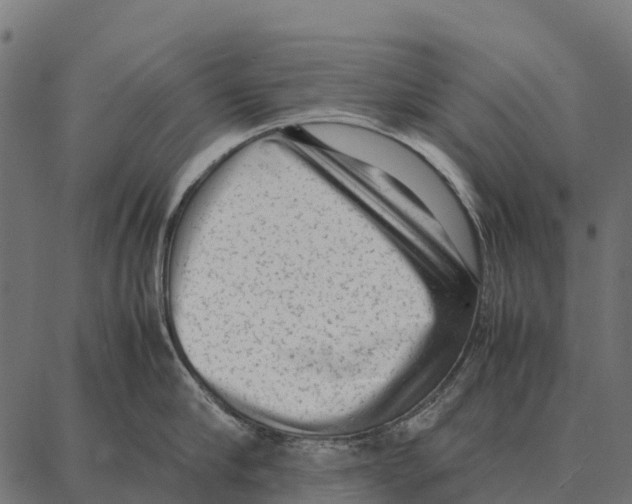 X0000087320910200705181008