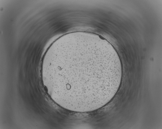 X0000087320912200705181008