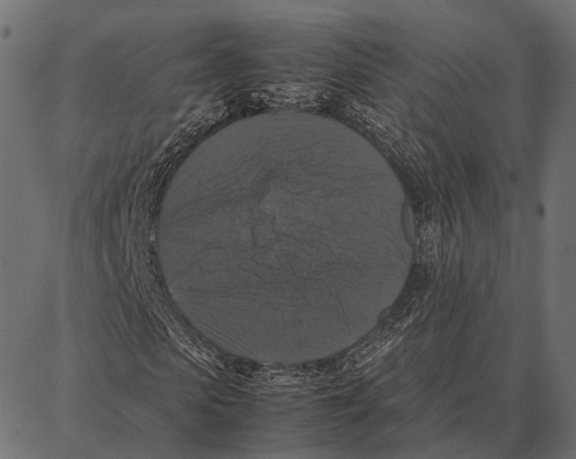 X0000087320913200705181007