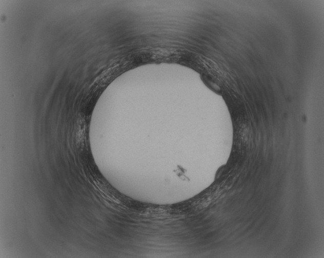 X0000087320914200705181007