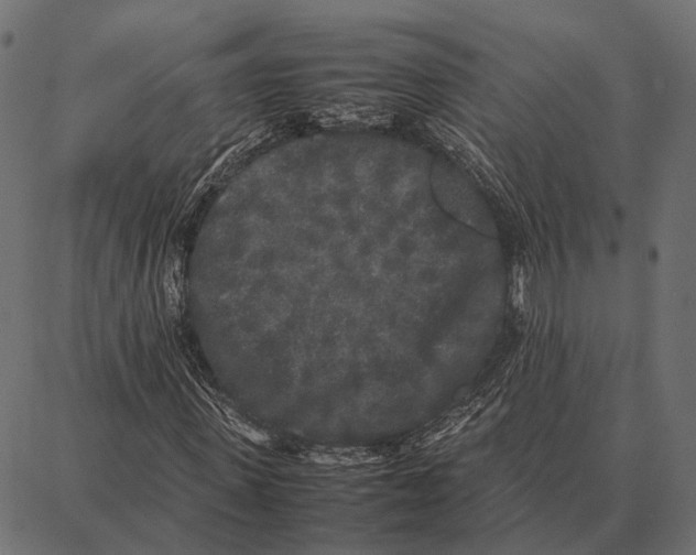 X0000087320915200705181007