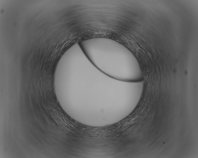 X0000087320916200705181007