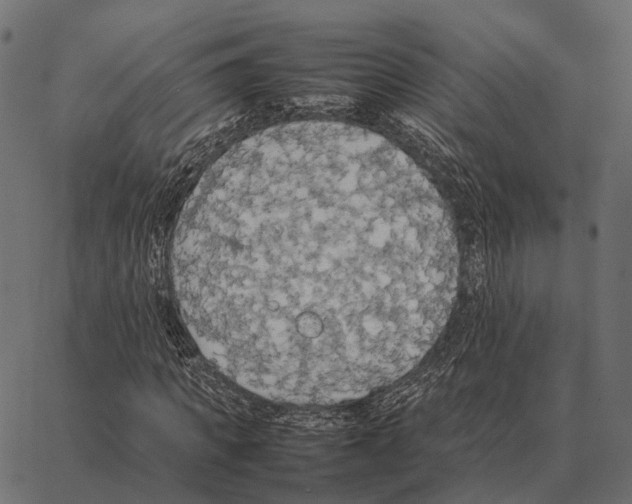 X0000087320917200705181007