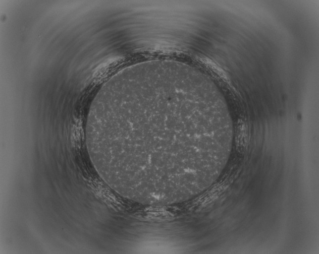 X0000087320918200705181007