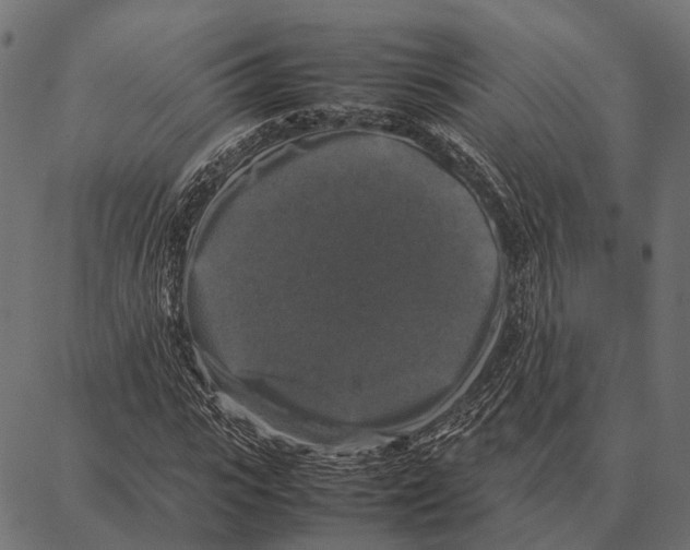 X0000087320919200705181007