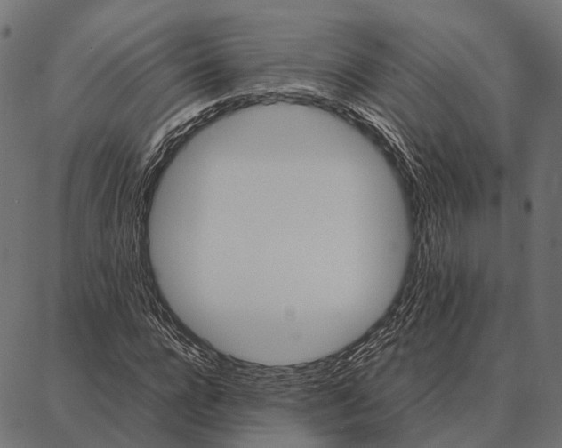 X0000087320920200705181007