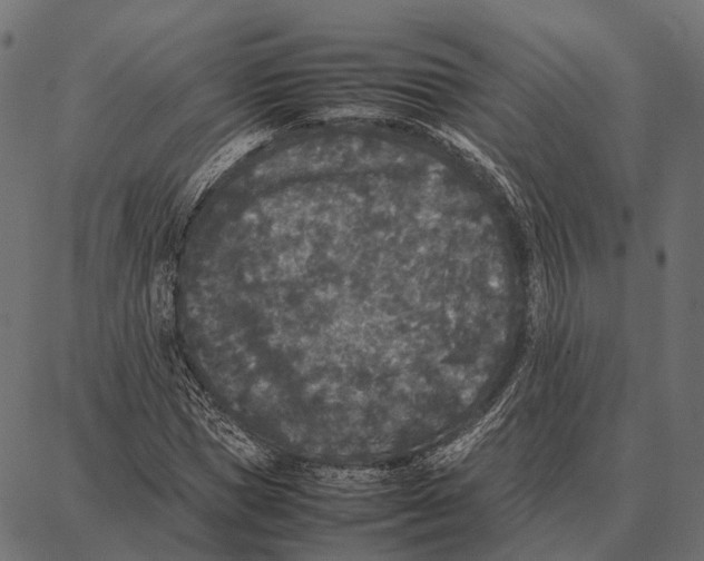 X0000087320921200705181007