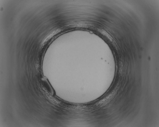 X0000087320922200705181007