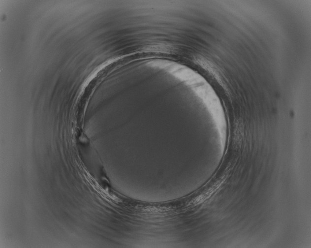 X0000087320923200705181007