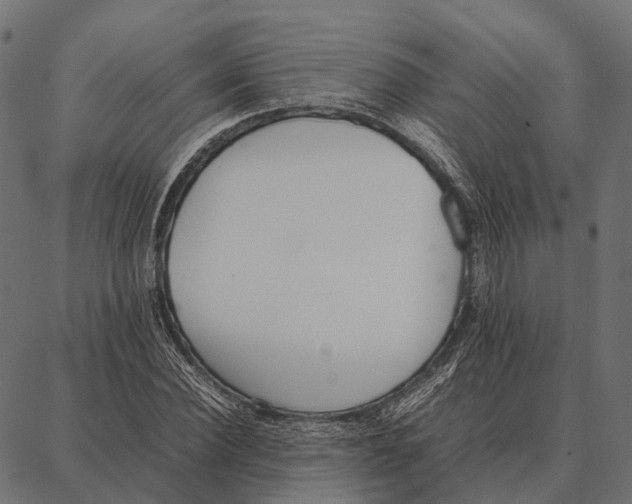 X0000087320924200705181007