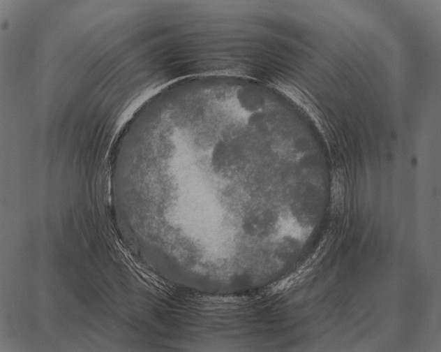 X0000087320925200705181007