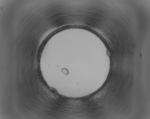 X0000087320927200705181007