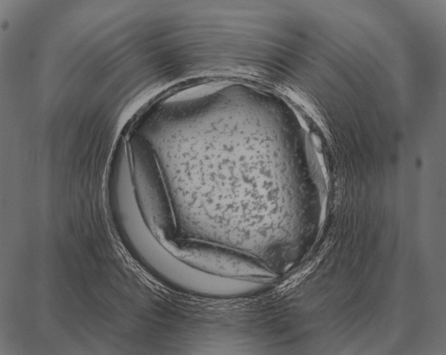 X0000087320928200705181007