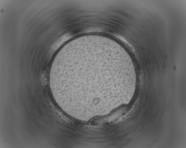 X0000087320929200705181007