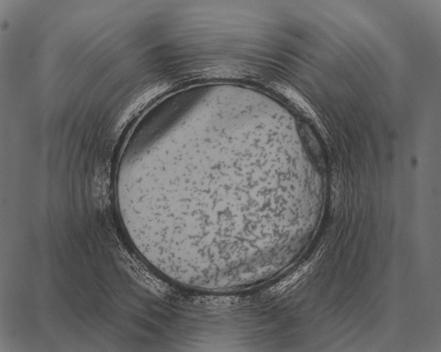 X0000087320930200705181007