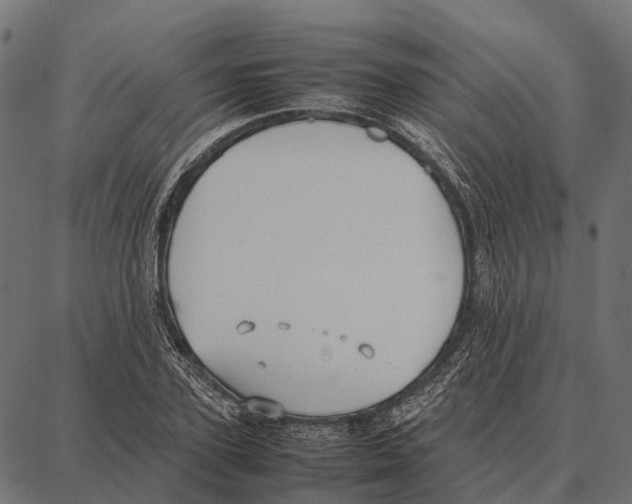 X0000087320931200705181007