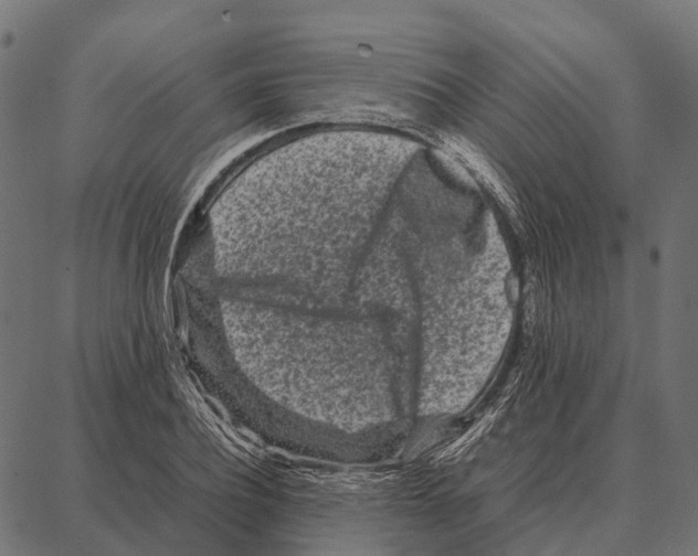 X0000087320932200705181007