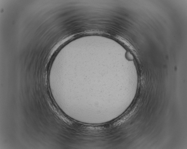 X0000087320933200705181007