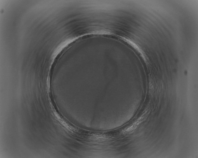 X0000087320935200705181007