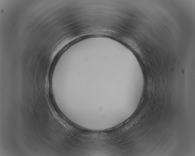 X0000087320936200705181007