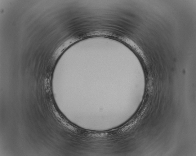 X0000087320937200705181007