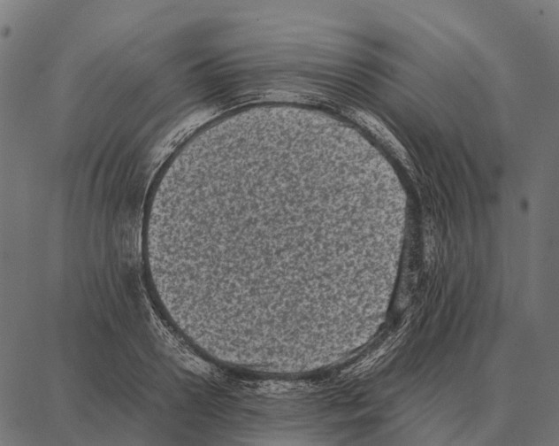 X0000087320938200705181007