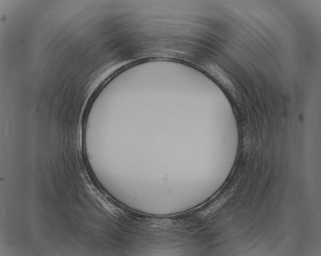 X0000087320940200705181007