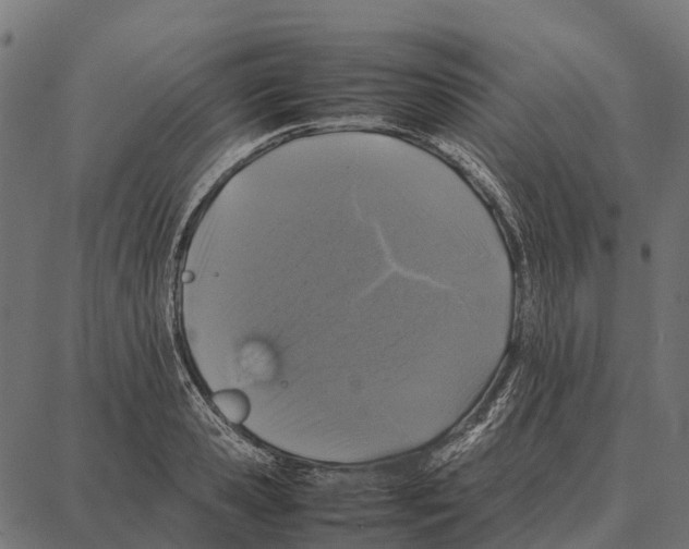 X0000087320941200705181007