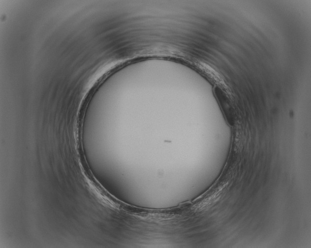 X0000087320942200705181007