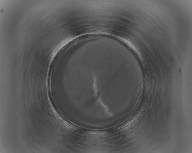 X0000087320943200705181007