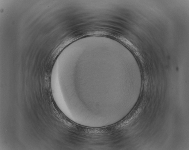 X0000087320945200705181007