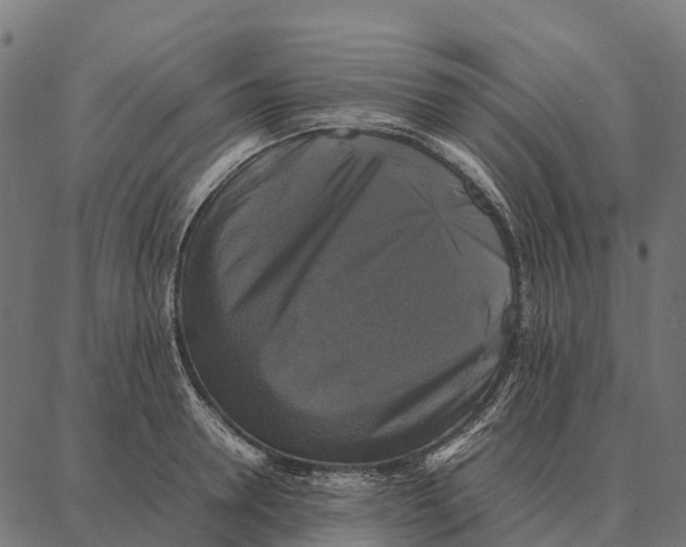 X0000087320946200705181007