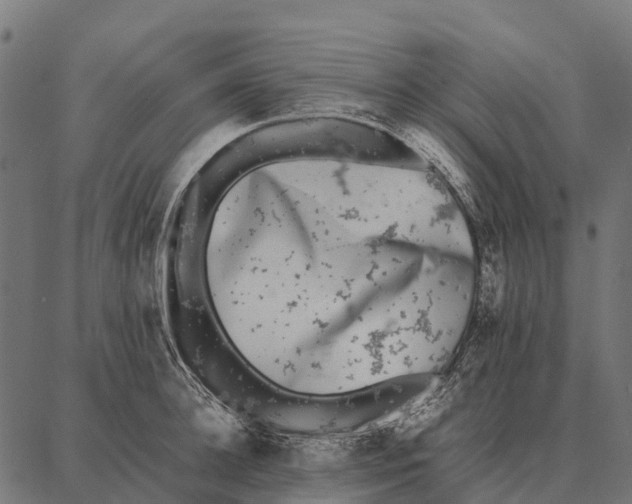 X0000087320948200705181008