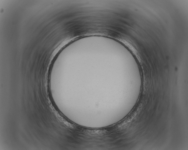 X0000087320949200705181008