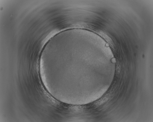 X0000087320950200705181008