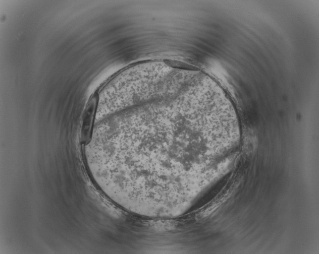 X0000087320952200705181008