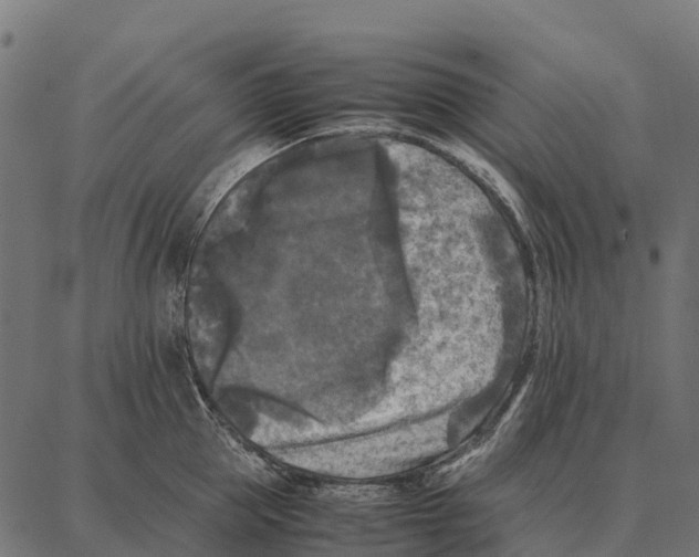 X0000087320953200705181008