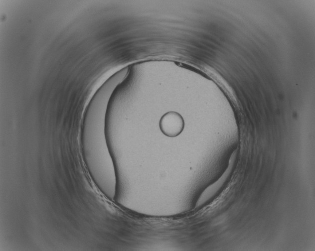 X0000087320956200705181008