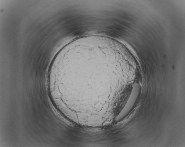 X0000087320957200705181008