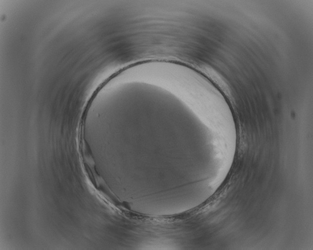 X0000087320958200705181008