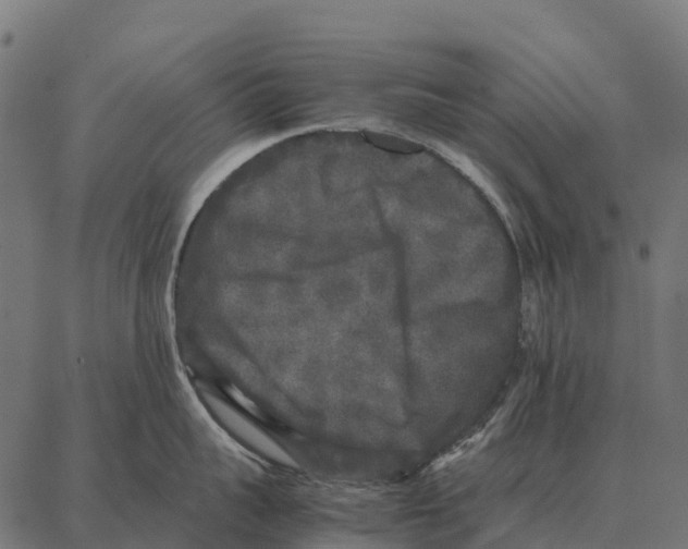 X0000087320959200705181008