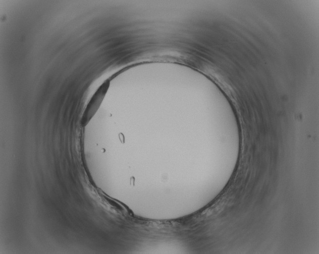 X0000087320960200705181008