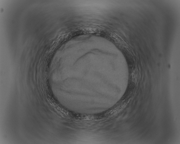 X0000087320961200705181007