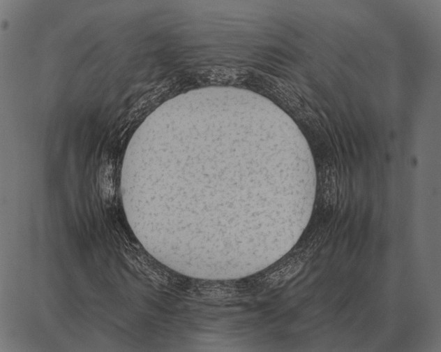 X0000087320962200705181007