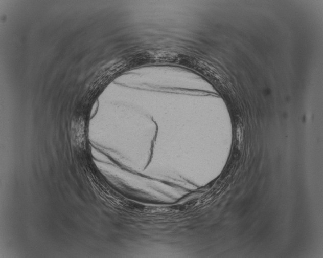 X0000087320963200705181007