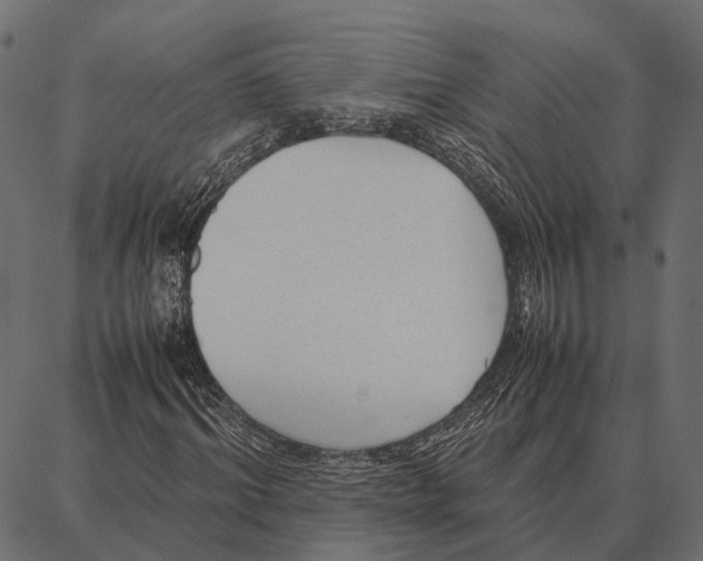 X0000087320964200705181007