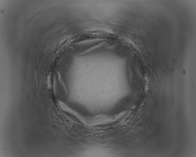 X0000087320965200705181007